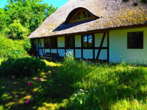Eulenhof Vorpommern, Rossin